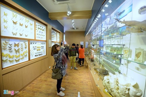 Посещение первого музея природы во Вьетнаме - ảnh 4